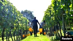 Illýustrasiýa suraty