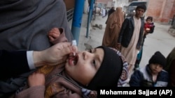 چارواکي وايي، نوي کیسونه په سند صوبه او صوابۍ کې مخې ته راغلي. 