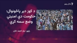 په کوز دیر کې د ناامنۍ پر ضد لویه جلسه شوې ده