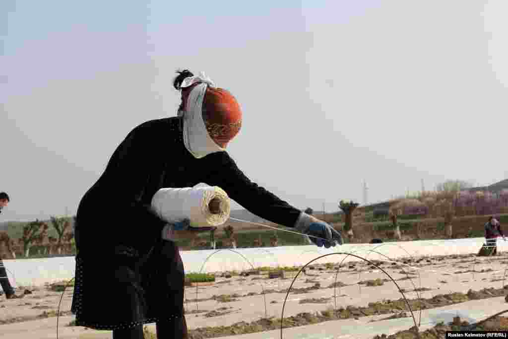 За работу с 9 утра до 8 вечера в день они получают 400 сомов. &nbsp;