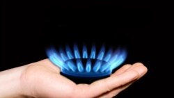  Bug gazanlarynyň gaz üpjünçiligi bilen bagly aladalar hususy önüm öndürijileriň gazynyň kesilmegine getirýär
