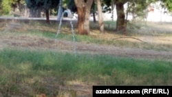  Парк "Независимости" в Ашхабаде. Июль 2021 г. 