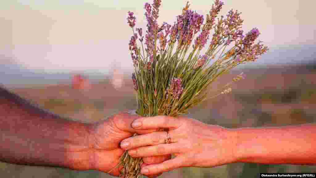 Qarabaş otnı tesaviylev içün ve qoqutqıç kibi qullanalar - urba dolabına bir qaç pıtaçıq qoyulsa, o, lavanda qoqıp başlar