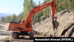 عکس از آرشیف - جنبه تزئینی دارد