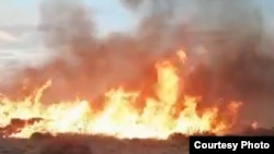 Степной пожар. Архивное фото