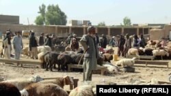 یکی از بازار های فروش مواشی در کابل 