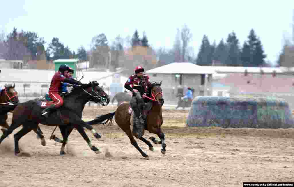 "Достук" командасынын атактуу күлүгү "Бойка" беттеш учурунда.&nbsp;
