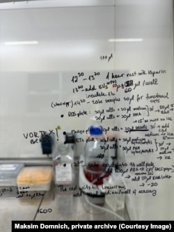 Надпісы на сьцяне лябараторыі, дзе працуе Максім. Фота з прыватнага архіву