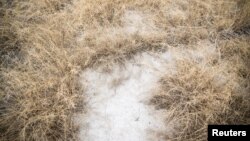 илустрација