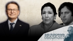 ვაჟა თავბერიძის ინტერვიუ ევროპარლამენტარ დაინიუს ზალიმასთან