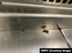 La magazinele Ikea din Capitală, inspectorii ANPC au găsit vitrine frigorifice care prezentau zone cu rugină, mucegai, cu acumulări de apă, insecte moarte, resturi alimentare în strat grosier și praf la zona ventilatoarelor