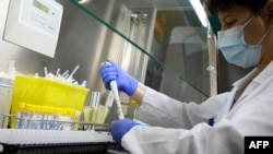 Fotografi ilustruese nga arkivi.