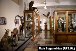 გამოფენა, კავკასიის ბიომრავალფეროვნება იმ შენობაშია განთვსებული, რომლის დაცლასაც ნიკა ახალბედაშვილი დავით ლორთქიფანიძეს სთხოვს