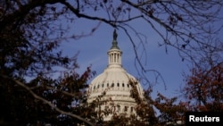 Инициативу предлагает двухпартийная группа сенаторов, в которую входят Джин Шагин, Шелдон Уайтхаус, Джим Риш, Чак Грессли, Ричард Блюменталь и Линдси Грэм.