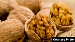 Иллюстрациялык сүрөт.