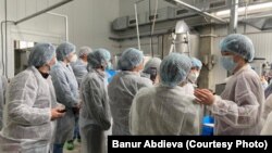 Программанын катышуучулары.