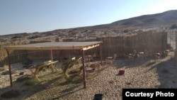 Өзбекстандан алынып келген жейрендер. 