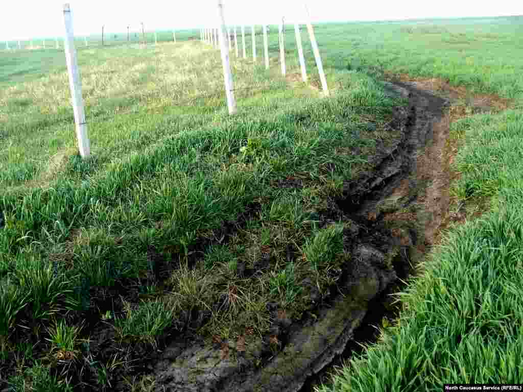 Навозная "река" промыла почву