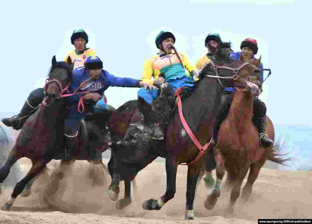 Жогорку лигада алты команда: "Ынтымак", "Достук", "Сары-Өзөн", "Жаш күч", "Мурас" жана "Ала-Тоо" катышууда. Учурда алар эки тайпага бөлүнүп, ойноп жатышат.