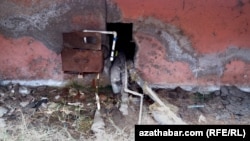 Mary: Suw kösençlikleri