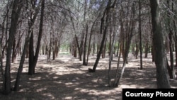 Ататүрк паркы.