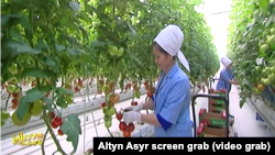 Из репортажа гостелевидения (архивное фото)  