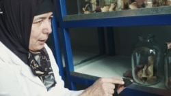 Данисте: "Чегиртке баштаган зыянкечтерди жок кылабыз"  