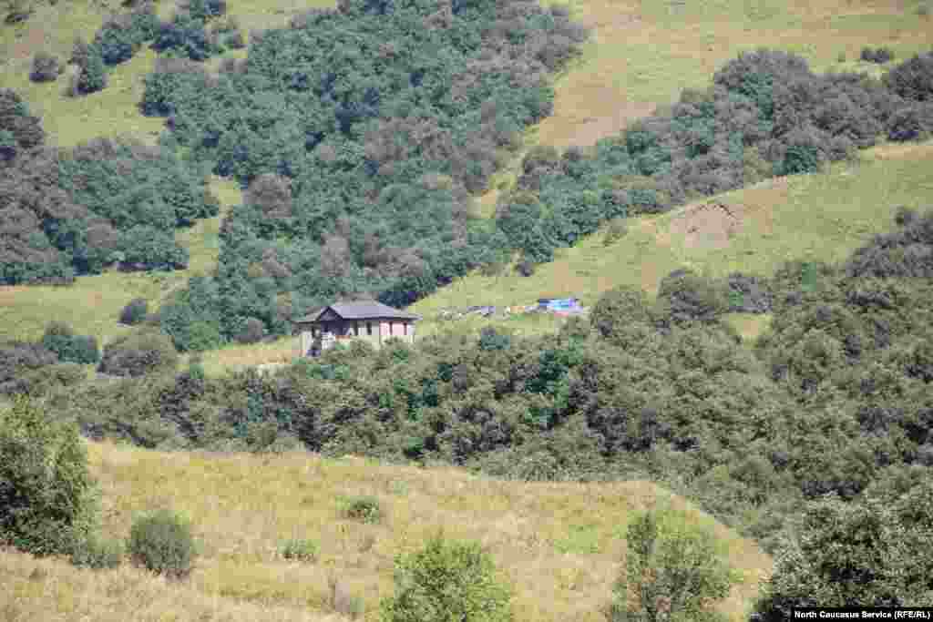 ПIелгаш тIехь багарбаллал бен бац дайн махка юхабаьхкинарш. &nbsp;