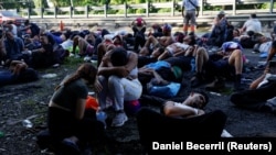 Америкага жол тарткан Мексиканын Кунталапа шаарындагы шоссе боюнда эс алууда, 6-ноябрь, 2024-жыл. Иллюстрациялык сүрөт.