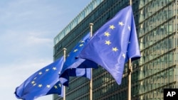 ევროკავშირის დროშები