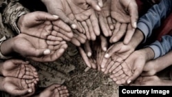 Иллюстрация.