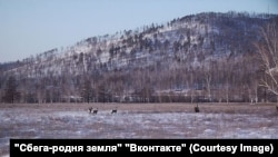 В окрестностях поселка