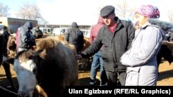 Кочкордогу мал базардан бир көрүнүш (Сүрөттүн макалага тиешеси жок)