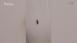 Supermarketurile au fost închise temporar în urma controalelor ANPC 