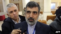 بهروز کمالوندی، سخنگوی سازمان انرژی اتمی ایران