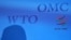 Возможное членство России в ВТО завтра в Брюсселе намерен обсудить премьер-министр России Владимир Путин