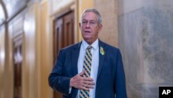 „მხარი დაუჭირეთ თავისუფალ და სამართლიან არჩევნებს“ - მიმართავს ჯო უილსონი მათ.