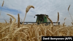 Иллюстративное фото.