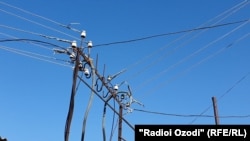 Иллюстрациялык сүрөт.