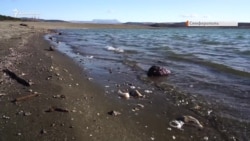 Saylıq, çöplük ve balıçılar: qarsız qıştan soñ Aqmescit suv anbarı (video)