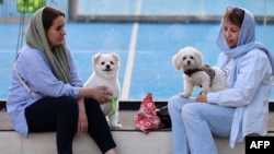 Iranians sit with their dogs in a park in Tehran on June 8, 2025. 