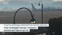 Түштүк Корея: 170тен ашуун өмүрдү алган учак кырсыгы  