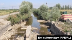 Савайдын жабылышы элди кыйнады