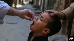 په پېښور کې یو روغتیايي کارکوونکی ماشوم ته د پولیو ضد څاڅکي ورکوي - انځور له ارشیفه.