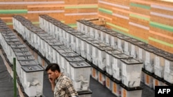 Kuti votimi në Shqipëri, fotografi nga arkivi