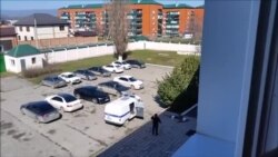 Титиевн кхеле баьхкинера политикаш а, бакъонашларъярхой а, журналисташ а