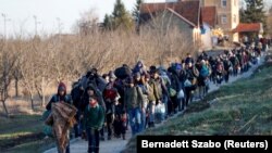 Migrantët në Serbi drejt kufirit me Hungarinë më 6 shkurt, 2020.