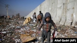 تعدادی از کودکان فقیر در کابل که سرگرم جمعآوری غذا و برخی اشیا از انبار کثافات اند. 