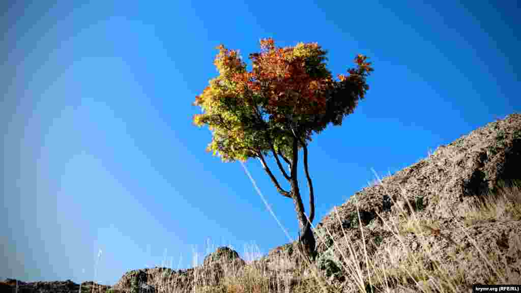 С возвышения открывается вид на осеннюю природу села. В это время года Зеленогорье изменяет своему названию и приобретает всевозможные оттенки желтого