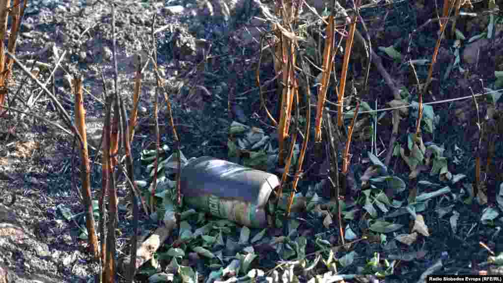 Постои сомнеж дека пожарот во природниот резерват Езерани е подметнат, вели градоначалникот Јован Тозиевски 